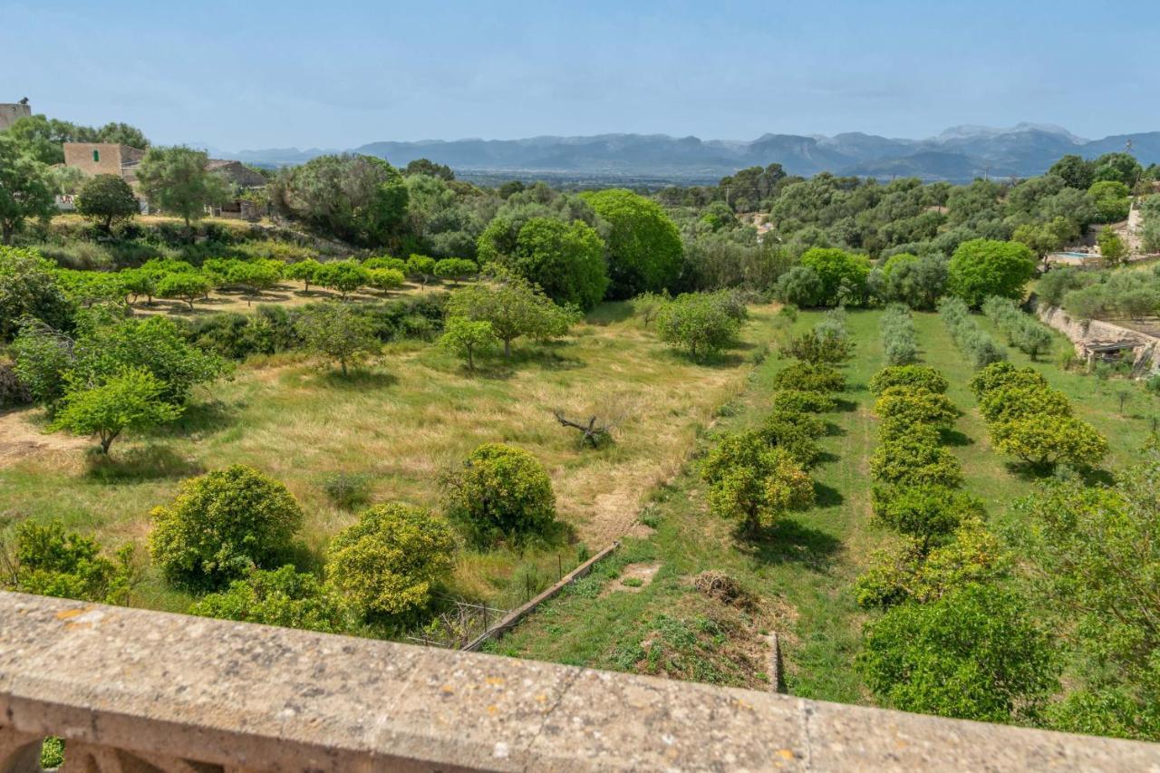 Rei -costitx- Chalet Costitx (Mallorca)