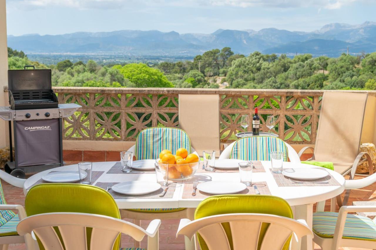Rei -costitx- Costitx (Mallorca)